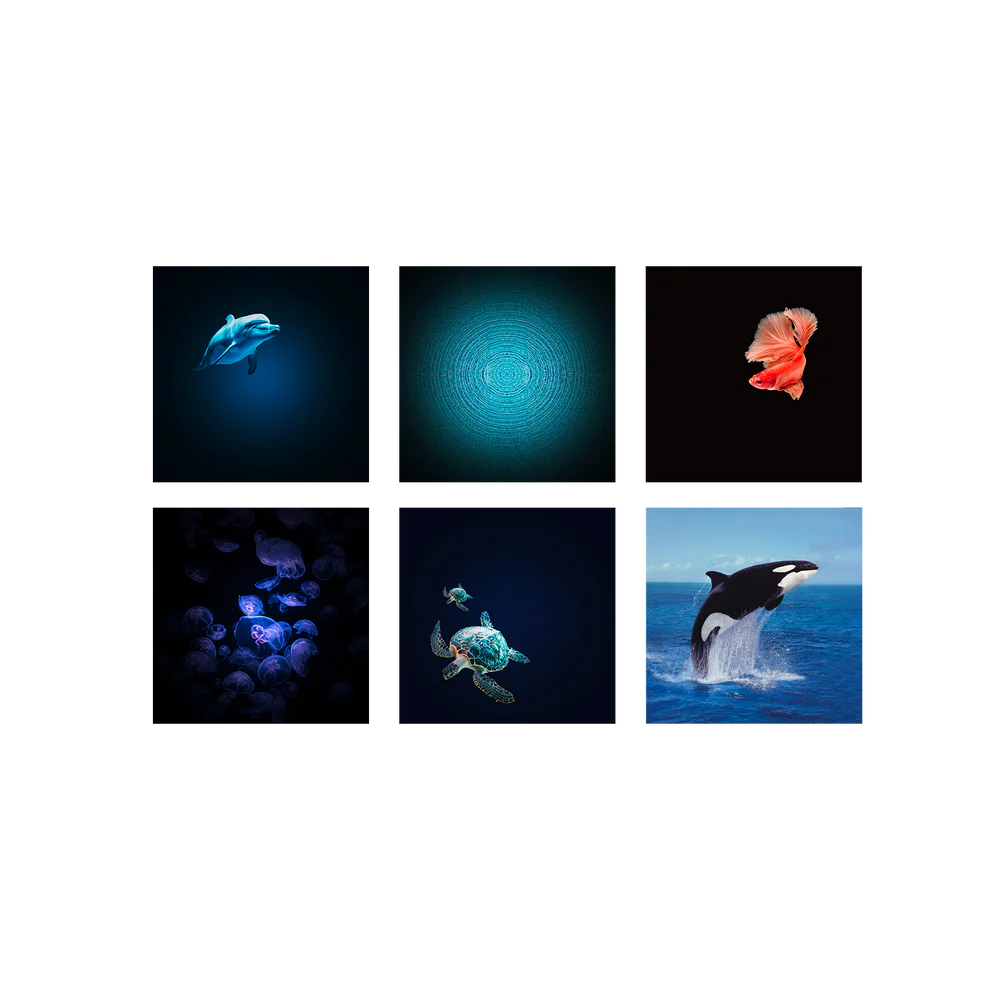 Projecteur d'images - KIDYSTAR Océans et mers