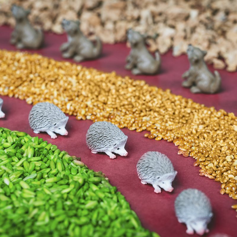 Bouteille sensorielle - Forêt