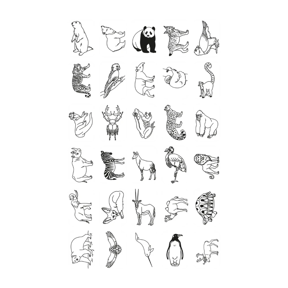 Recharge KIDYDRAW - Pirates | Animaux du monde