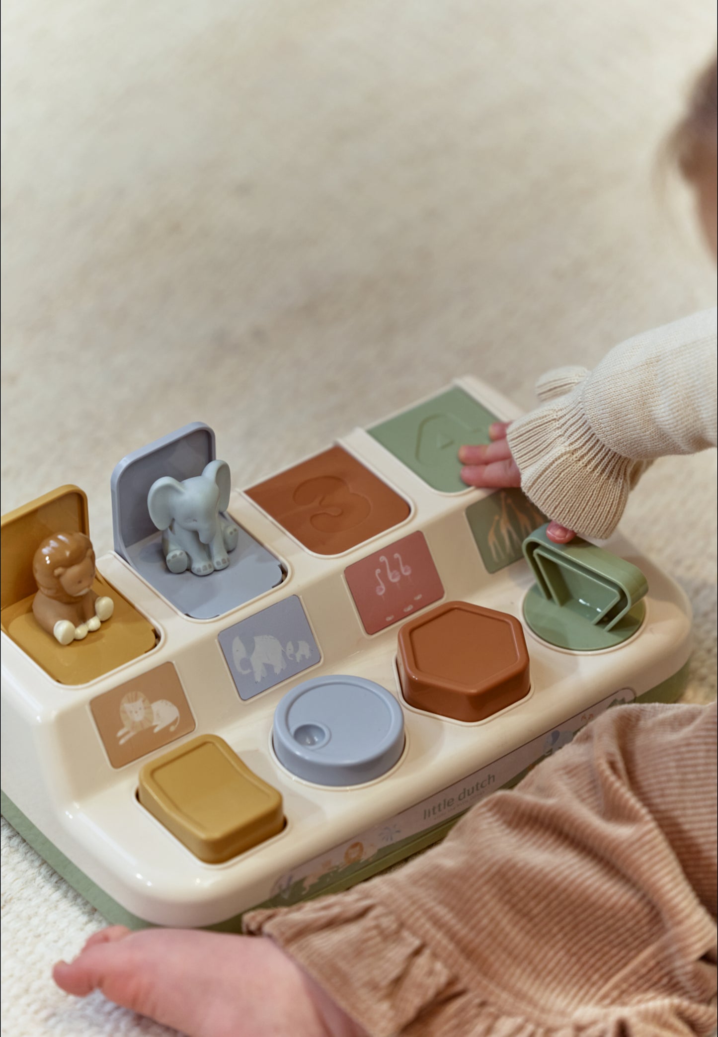 Pop-up Animaux - Safari Friends