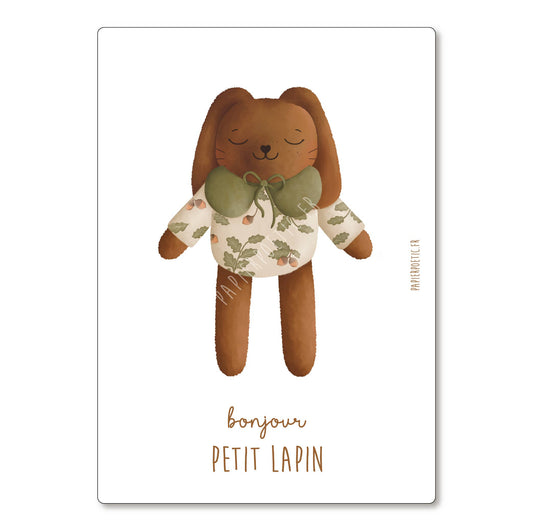 Carte naissance "Doudou Lapin marron"