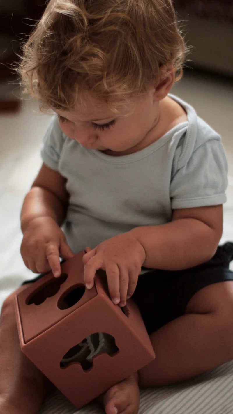 Cube de formes/Puzzle - Terracotta