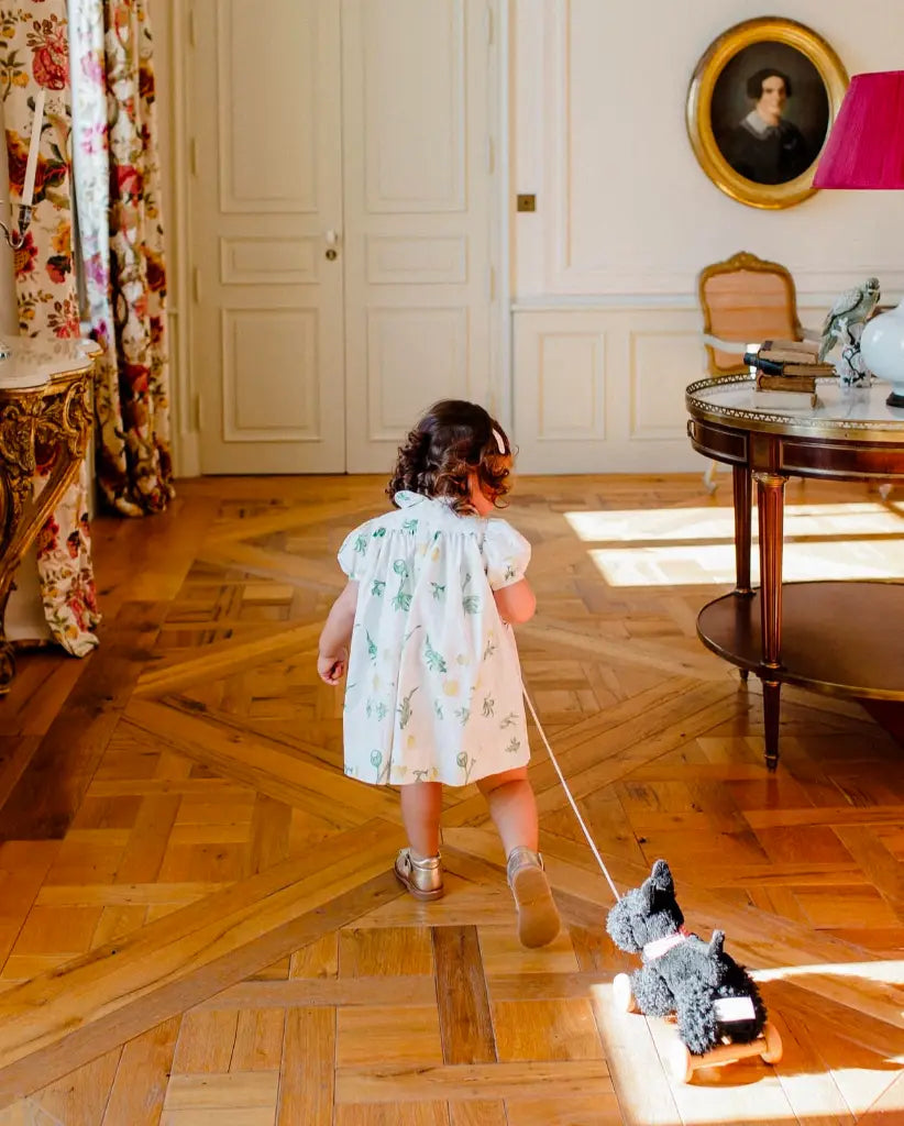 Jouet à tirer - Walter