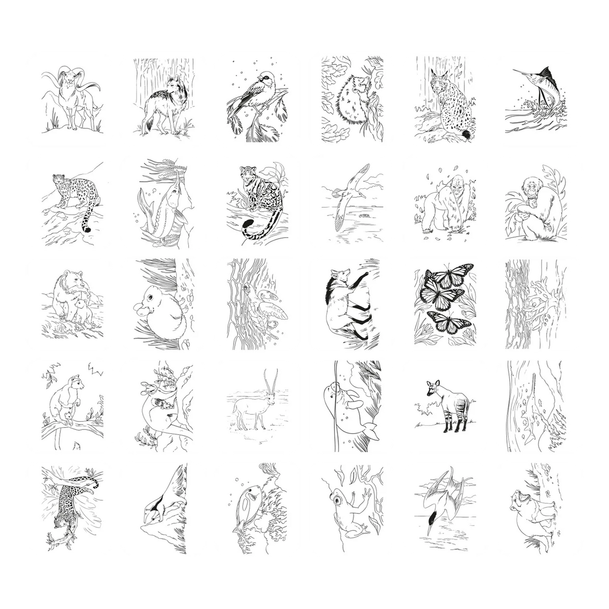 Tablette Dessin KIDYDRAW-PAD - Animaux