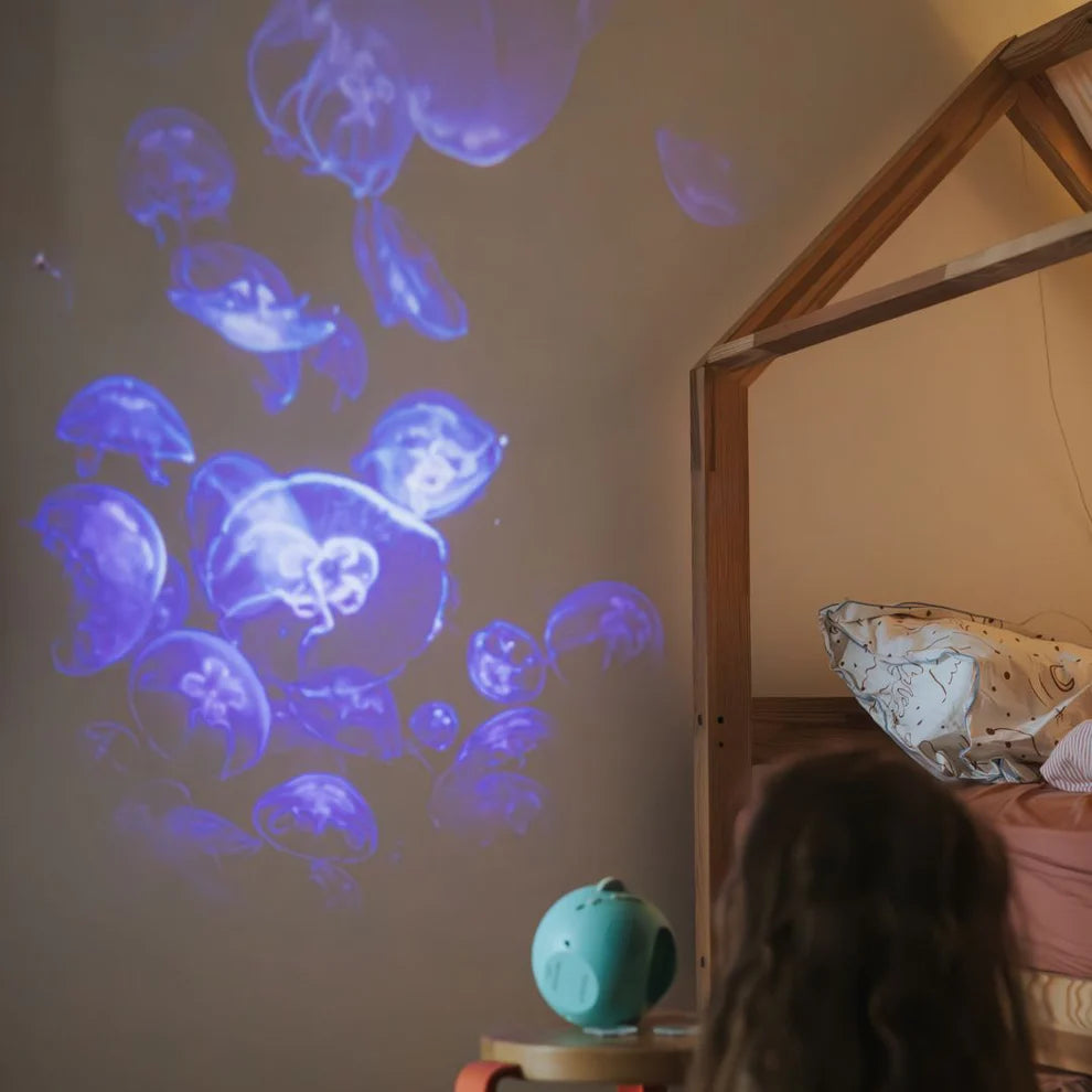 Projecteur d'images - KIDYSTAR Océans et mers