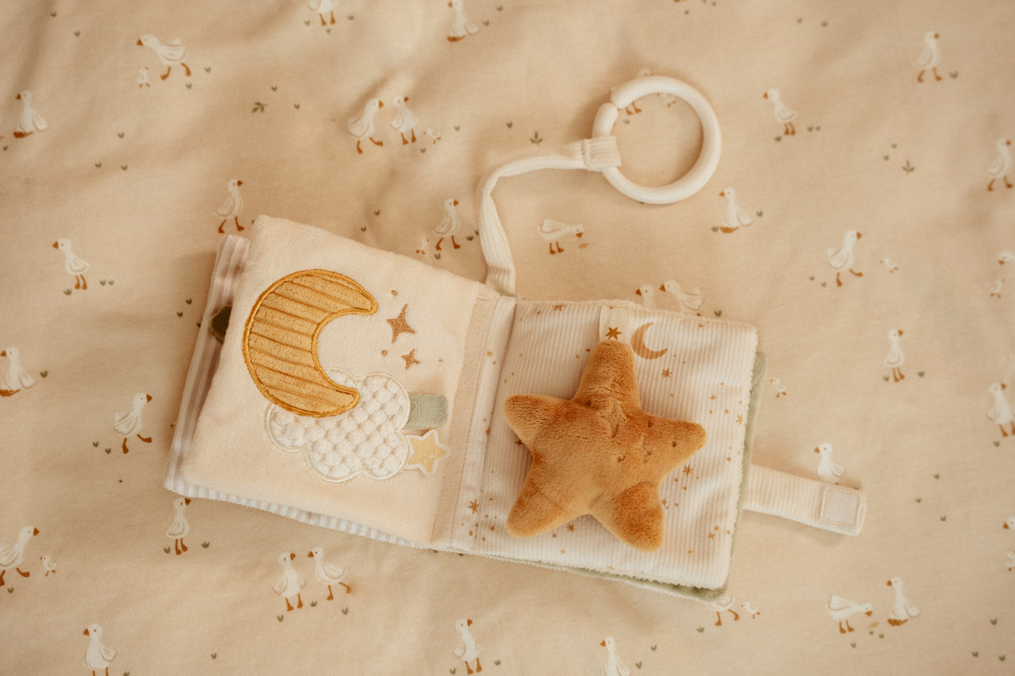 Livre d'activités - Newborn