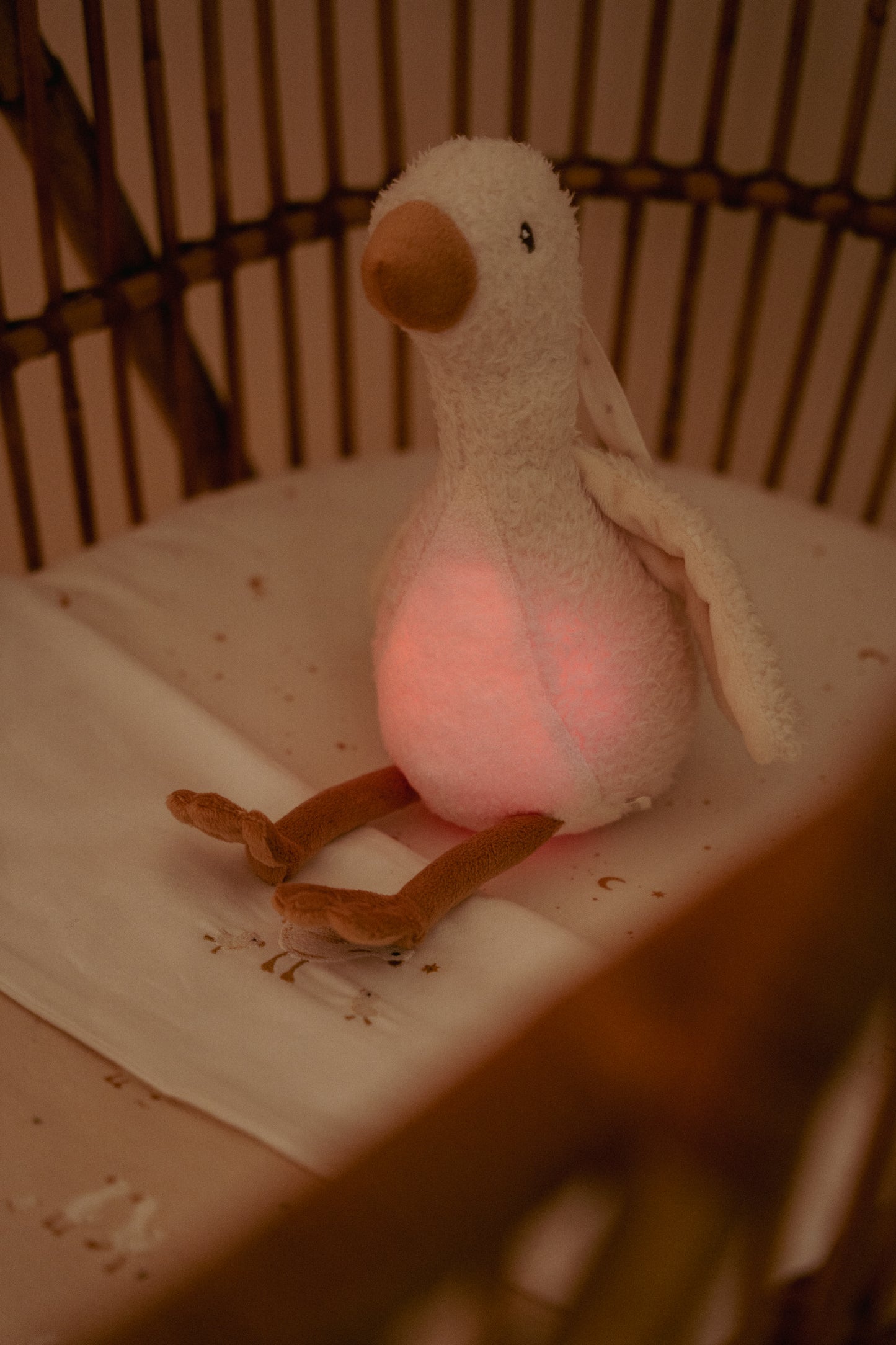 Veilleuse/Peluche musicale - Oie
