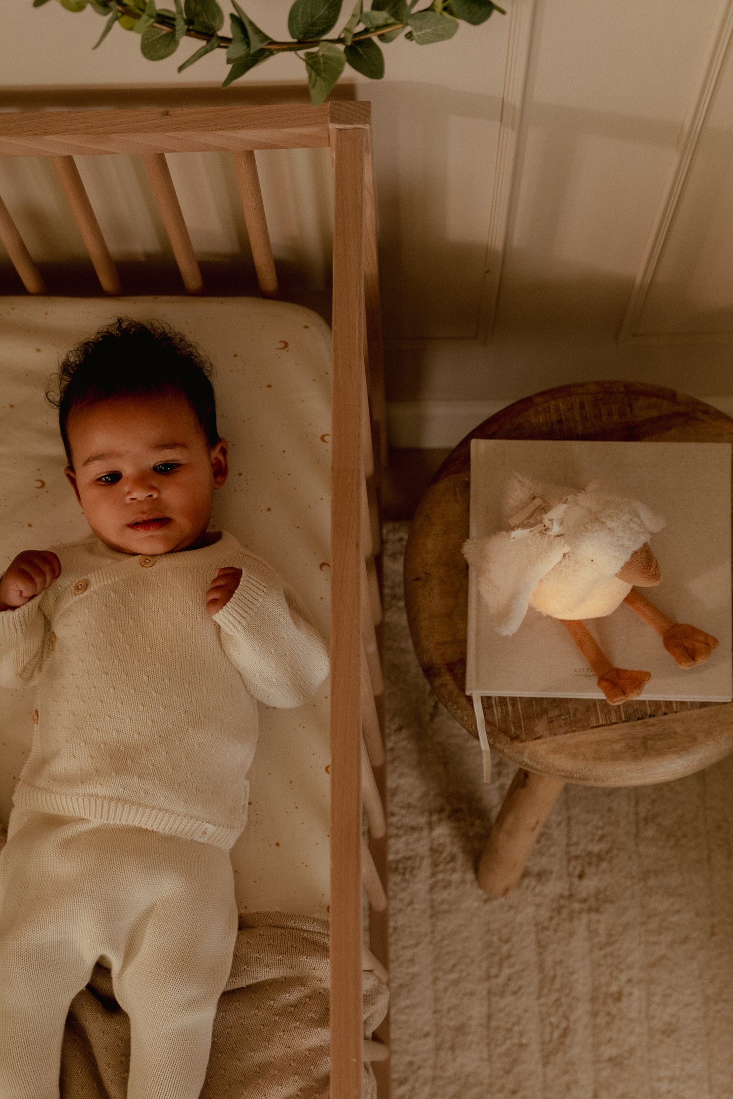 Veilleuse/Peluche musicale - Oie