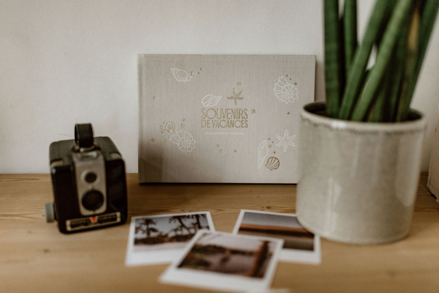 Livre - Souvenirs de vacances