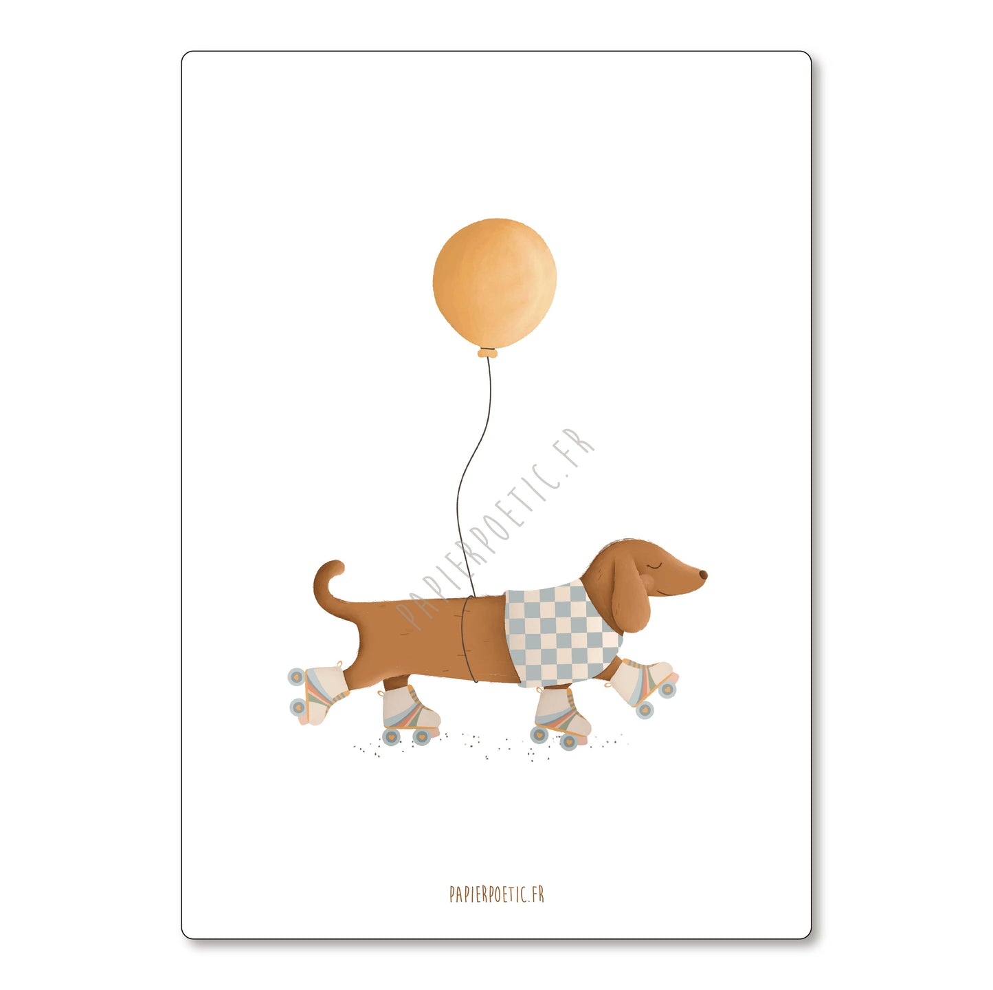 Carte Anniversaire "Teckel rolls"