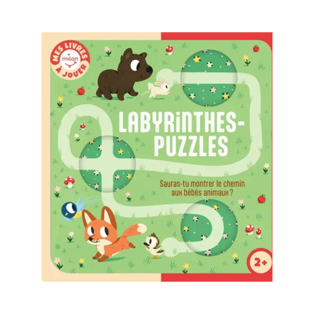 Livre à jouer - "labyrinthes puzzles"